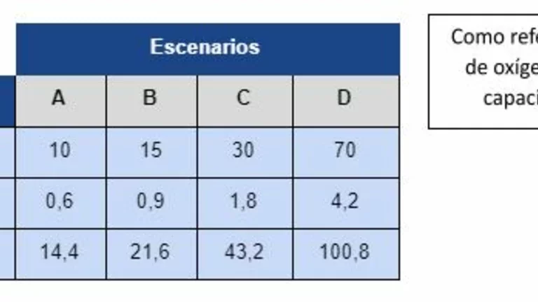 Consumos de Oxígeno Medicinal a diferentes flujos