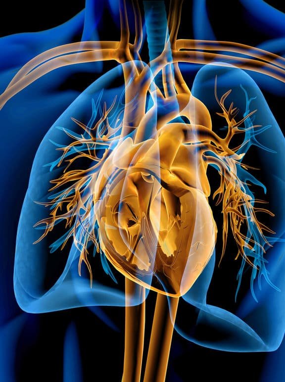 Hipertension pulmonar