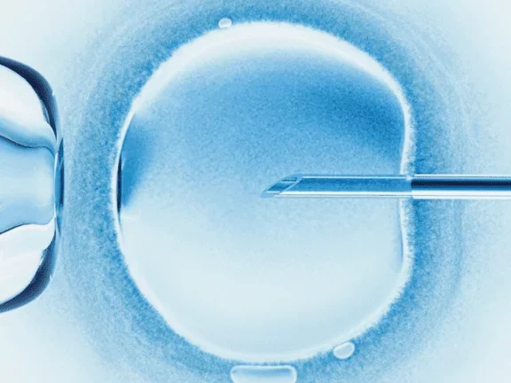 Fecundación in Vitro